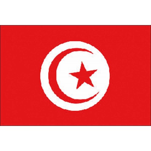 Bandiera Tunisia cm 30x45